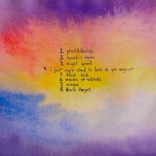 Load image into Gallery viewer, Ross Major : Horatio Hymns (LP, Album)
