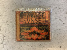 Load image into Gallery viewer, Savage Sunset - Songs for the End of the World (CD, Album)
