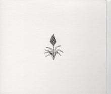 Load image into Gallery viewer, Elvis Costello : Secret, Profane &amp; Sugarcane (CD, Album)
