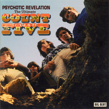 Load image into Gallery viewer, Count Five : Psychotic Revelation - The Ultimate Count Five (CD, Comp, RE, RM)
