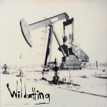 Load image into Gallery viewer, Thanks Light : Wildcatting (LP)
