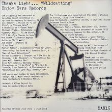 Load image into Gallery viewer, Thanks Light : Wildcatting (LP)
