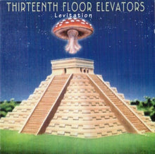 Load image into Gallery viewer, Thirteenth Floor Elevators* : Levitation / Live In Concert (CD, Album, RE)
