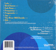Load image into Gallery viewer, Alex Beltran : Rift (CD, Album)
