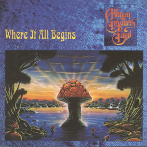 The Allman Brothers Band : Where It All Begins (CD, Album)