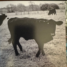 Load image into Gallery viewer, Khruangbin : The Universe Smiles Upon You ii (CD, Album)
