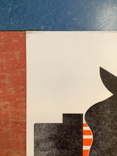 Load image into Gallery viewer, James Bay at Austin City Limits - 2016 (Poster)
