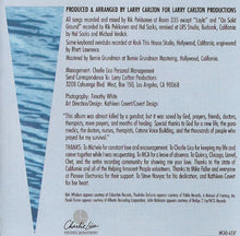 Load image into Gallery viewer, Larry Carlton : On Solid Ground (CD, Album)
