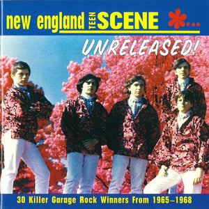 Various : New England Teen Scene... Unreleased! (30 Killer Garage Rock Winners From 1965–1968) (CD, Comp)