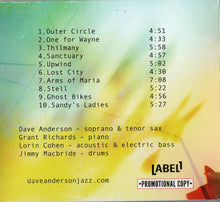 Load image into Gallery viewer, Dave Anderson (27) : In Lieu Of Flowers (CDr, Album, Promo)
