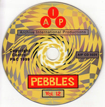 Load image into Gallery viewer, Various : Pebbles 12 The World (CD, Comp, Unofficial)
