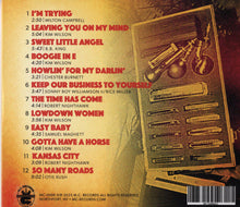 Load image into Gallery viewer, Kim Wilson : Slow Burn (CD, Album)
