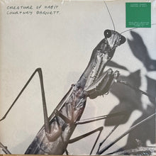 Load image into Gallery viewer, Courtney Barnett : Creature Of Habit (LP, Album, Ano)
