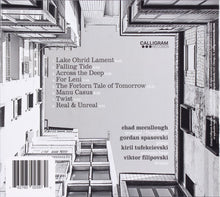 Load image into Gallery viewer, Chad McCullough, Gordan Spasovski, Kiril Tufekcievski, Viktor Filipovski : Transverse (CD)
