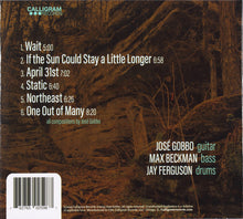 Load image into Gallery viewer, José Gobbo Trio* : Confluence (CD)
