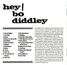 Load image into Gallery viewer, Bo Diddley : Hey! Bo Diddley / Bo Diddley (CD, Comp)
