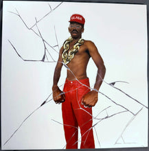 Load image into Gallery viewer, Tyler, The Creator : Don't Tap The Glass (LP, Album, RE, Cle)

