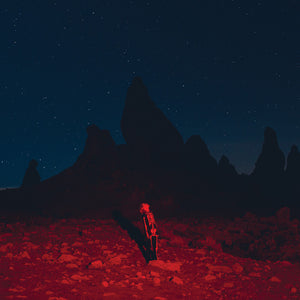 the album cover for Phoebe Bridgers - Punisher
