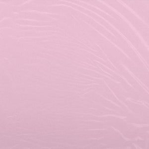 the album cover for Camron - Program [Clear Vinyl]
