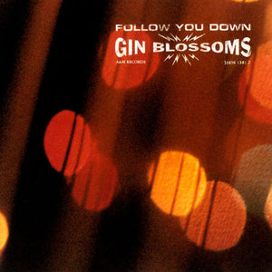 Gin Blossoms : Follow You Down (CD, Maxi)