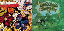 Load image into Gallery viewer, The Beach Boys : Smiley Smile / Wild Honey (CD, Comp)
