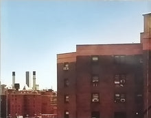 Load image into Gallery viewer, Popa Chubby : Back To New York City (CD)
