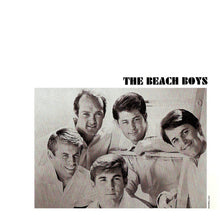 Load image into Gallery viewer, Beach Boys* : Concert (CD, Album, RE, RM)
