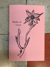 Load image into Gallery viewer, "Blades of Grass" by Dakota Schiel (Zine)
