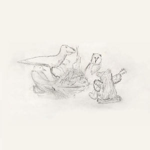 the album cover for Big Thief - Dragon New Warm Mountain I Believe In You
