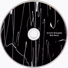 Load image into Gallery viewer, Scott Walker : Bish Bosch (CD, Album, Sli)
