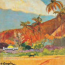 Load image into Gallery viewer, The Rascals : Peaceful World (CD, Album, RE, RM)
