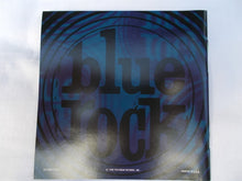 Load image into Gallery viewer, Various : Lost And Found: The Blue Rock Records Story (2xCD, Comp)
