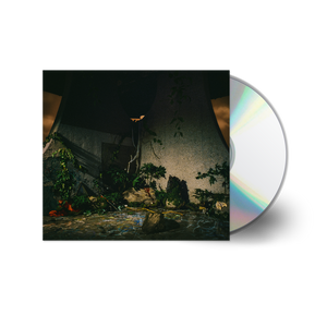 the album cover for The Plot In You - The Plot In You