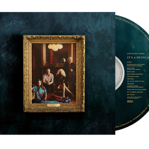the album cover for Little Big Town - It's a Dying Art