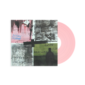the album cover for Nothing but Thieves - Stray Dogs [Pink Rose]