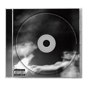 the album cover for Nate Sib - Reborn