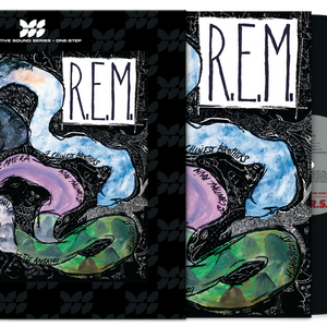 the album cover for R.E.M. - Reckoning [Definitive Sound Series 180g]