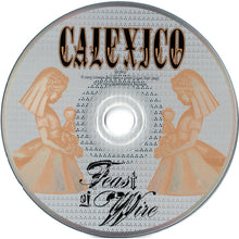 Load image into Gallery viewer, Calexico : Feast Of Wire (CD, Album)

