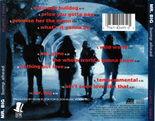 Load image into Gallery viewer, Mr. Big : Bump Ahead (CD, Album)
