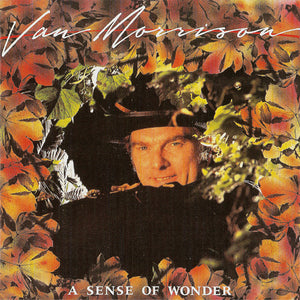 Van Morrison : A Sense Of Wonder (CD, Album)