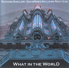 Load image into Gallery viewer, Richard Sinclair - David Rees Williams - Tony Coe : What In The World (CDr, Album)
