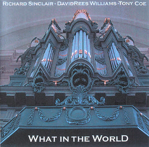 Richard Sinclair - David Rees Williams - Tony Coe : What In The World (CDr, Album)