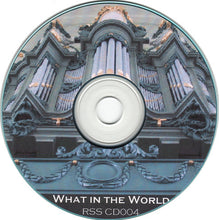 Load image into Gallery viewer, Richard Sinclair - David Rees Williams - Tony Coe : What In The World (CDr, Album)
