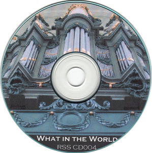 Richard Sinclair - David Rees Williams - Tony Coe : What In The World (CDr, Album)