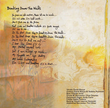 Load image into Gallery viewer, The High And Lonesome : From The Playground (CD, Album)
