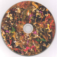 Load image into Gallery viewer, The Individuals (9) : Fields/Aquamarine  (CD, Comp)
