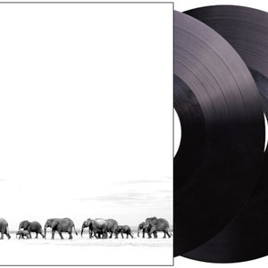 the album cover for Dave Matthews Band - Where Are You Going: The Singles