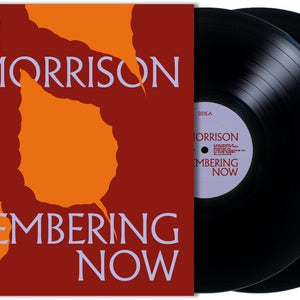 the album cover for Van Morrison - Remembering Now [2 LP]