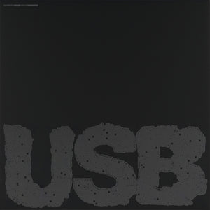 the album cover for Fred again.. - USB002