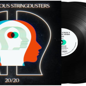the album cover for Infamous Stringdusters - 20/20